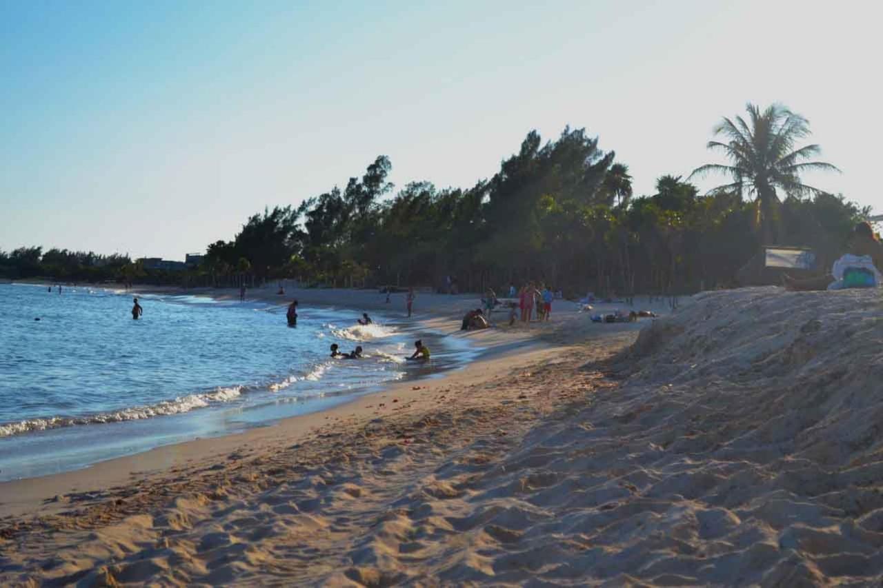 Jacaranda Playa